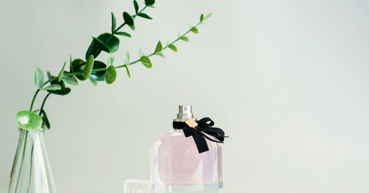 Un primer plano de una botella de perfume con una rama verde de eucalipto en un jarrón sobre un fondo blanco.