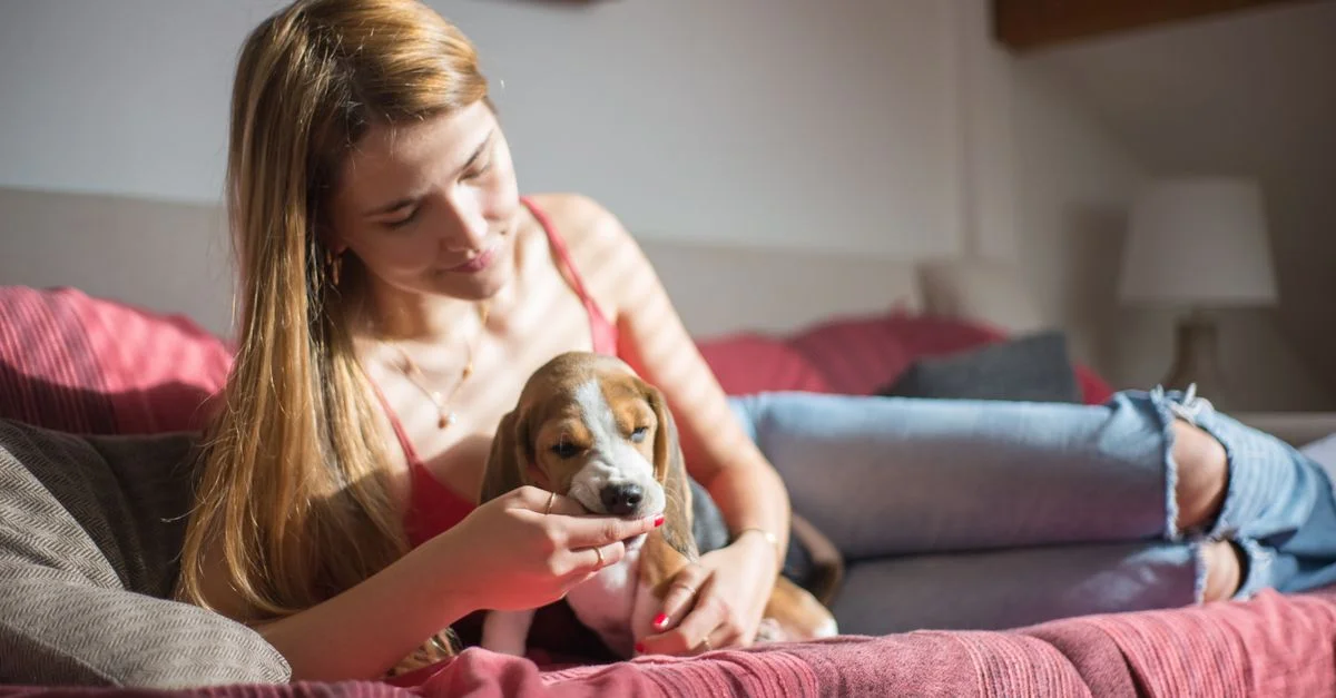 Una joven relajándose en interiores con su cachorro beagle, disfrutando de un momento de paz.
