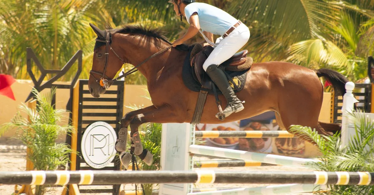 Caballo y jinete realizando un salto durante una competición ecuestre en un entorno tropical.
