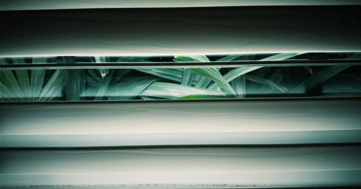 Acercamiento de follaje verde visible a través de un conjunto de persianas, ofreciendo una visión de la naturaleza en el interior.